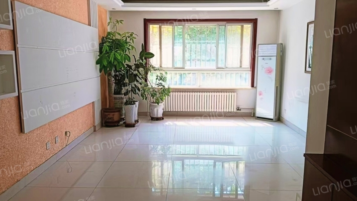 樱花国际二手房实景图