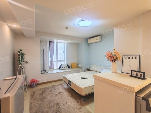 整租·皇冠国际花园 1室1厅 南