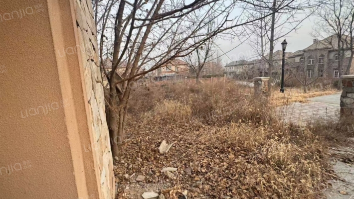 此房房本满五唯一  类独栋 边户大院子-客厅B