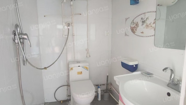 天桥小区  两居室   拎包入住 业主急售-卫生间