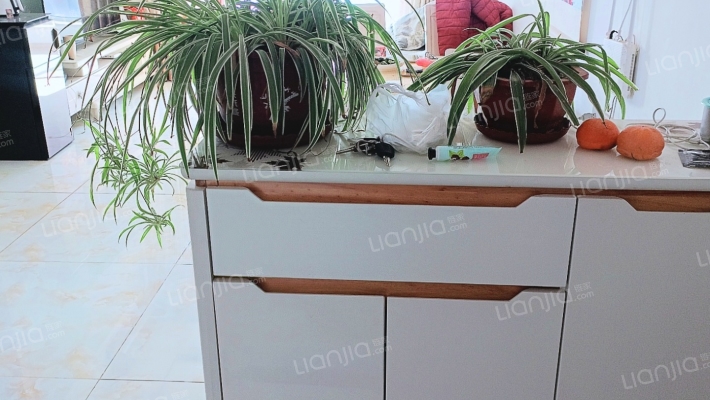 东南两居，房本满2，采光充足，交通便利!-玄关