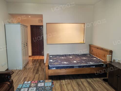 整租·南滨国际 1室0厅 南