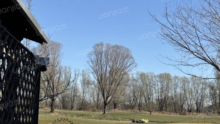 东京都独栋别墅 临湖临球场 带大院子-花园