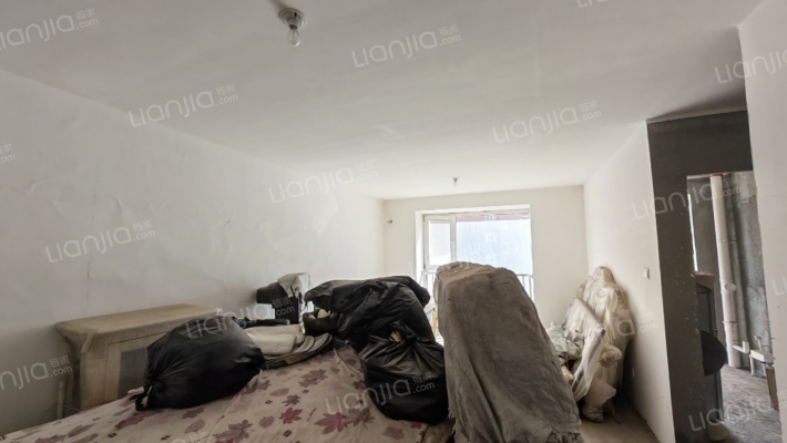 紫竹园 1室1厅 南-客厅