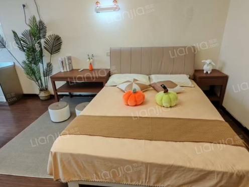 整租·金鼎国际公寓 1室1厅 北