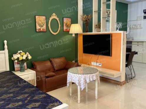 整租·润都世纪 1室1厅 跃层 东