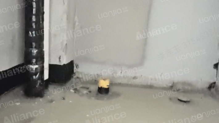 东京都高尔夫别墅区高层颐景华府两居出售-卫生间