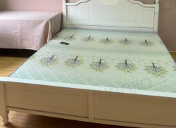 整租·先锋银座 1室1厅 南_先锋银座租房