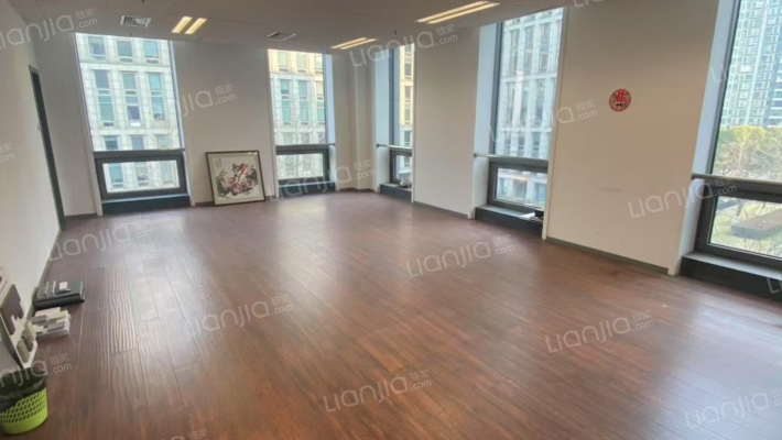 浙大网新双城国际二手房实景图