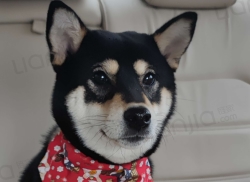 整租·测试楼盘 2室0厅 西南_测试楼盘租房