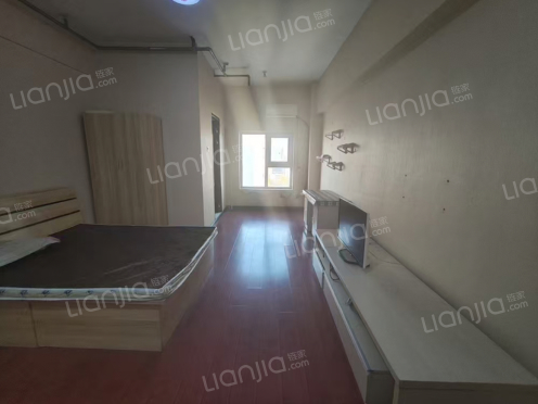 整租·钻石广场 1室0厅 北