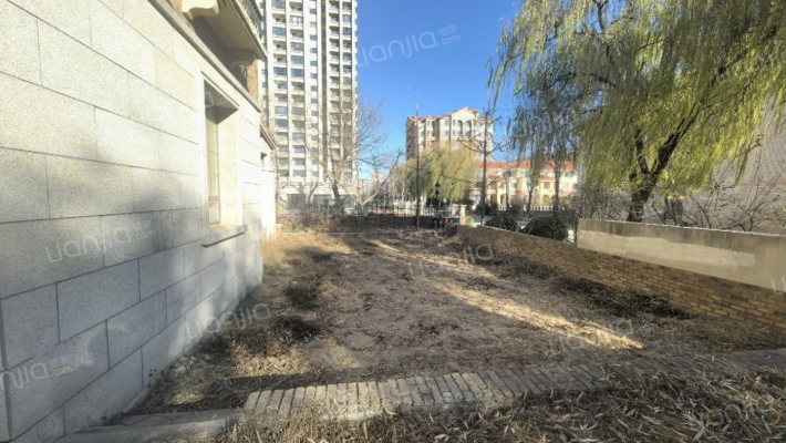 联排类独栋，南北通透，格局好，带院子-露台