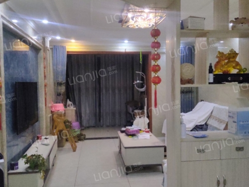 整租·九里象湖城 3室2厅 南