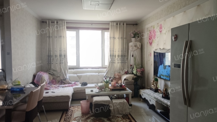 水岸花城，一线河景美宅诗意，标准现房，即买即住-客厅