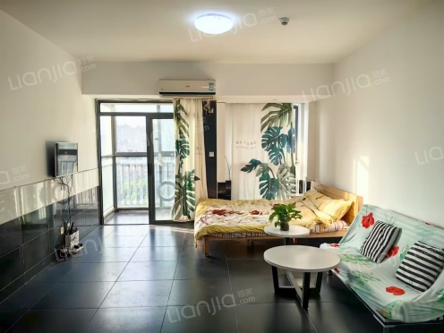 整租·晶都公馆 1室0厅 南