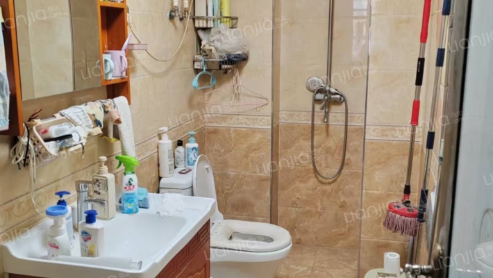 水岸花城，好房源，环境好，交通便利。-卫生间