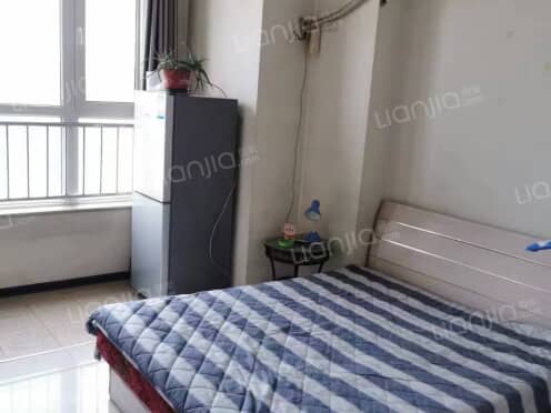 整租·金街公寓 1室1厅 东