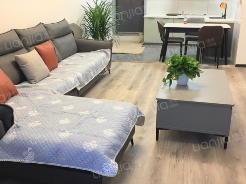 整租·凯悦金沙-东城 3室2厅 东南