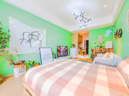 整租·金科星辰 1室1厅 南