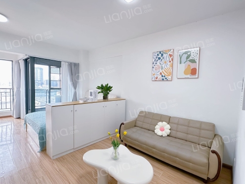 整租·百大城市理想 1室1厅 北