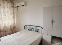 整租·荷花园 1室0厅 南_荷花园租房