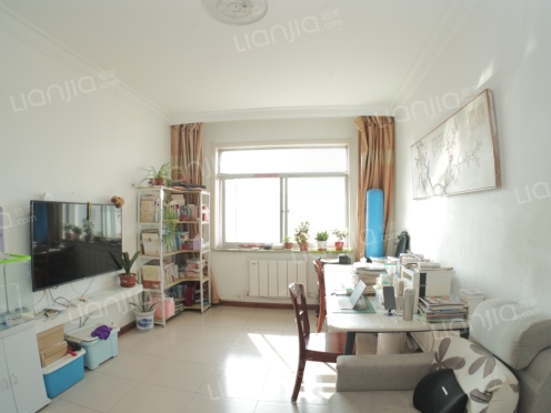 整租·万达小区 2室2厅 南