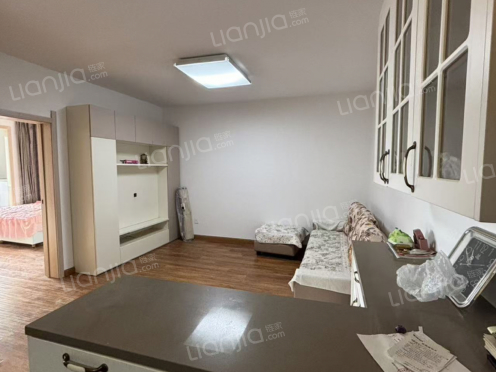 整租·高铁雅苑 2室2厅 南