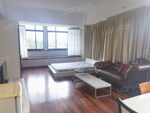 整租·余家漾月漾苑 1室1厅 南