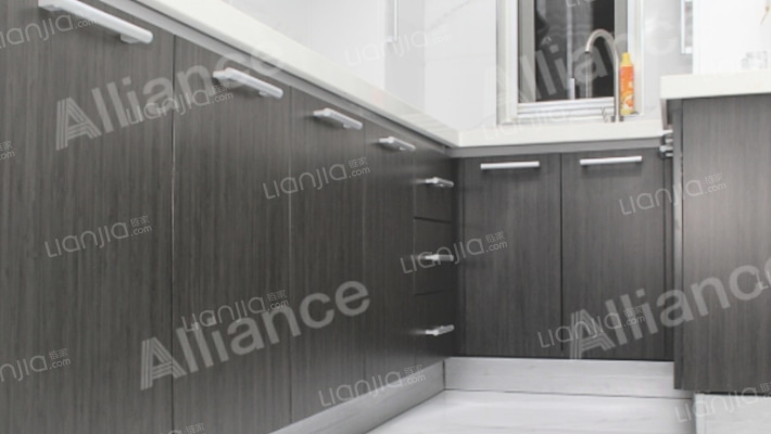 狮子城南区  全南向两居室 简约装修-厨房