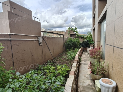 整租·外滩名著 3室2厅 东南/南/西南