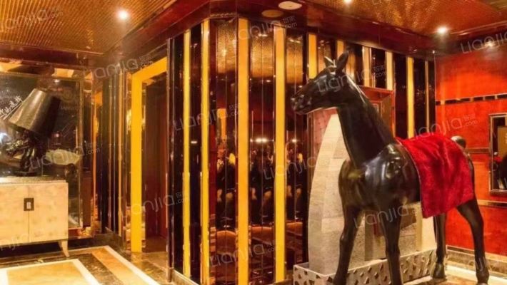 吉庆街（民主广场商圈）二手房实景图