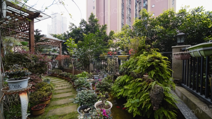 受欢迎房子 带花园的洋房  城西凯旋国际精装套二-花园