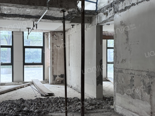 整租·龙湖时代天街 1室1厅 东南