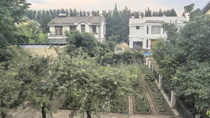 温莎假日 5室2厅 南 北-露台