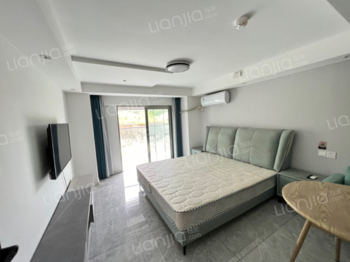 整租·龙城蜜立方 1室0厅 东南