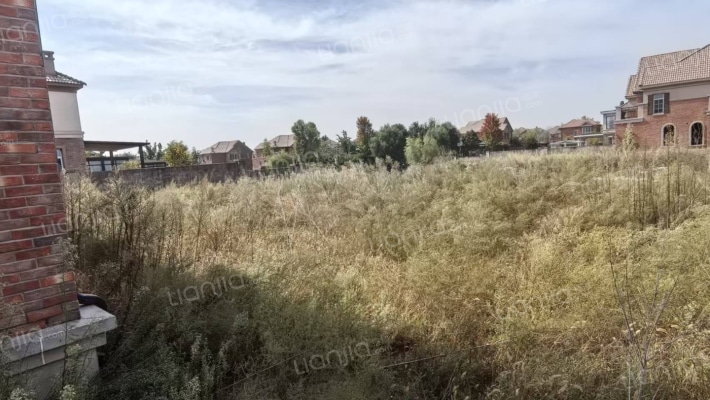 北京西南 京都颐和城317平独栋别墅带900多平大院子-花园