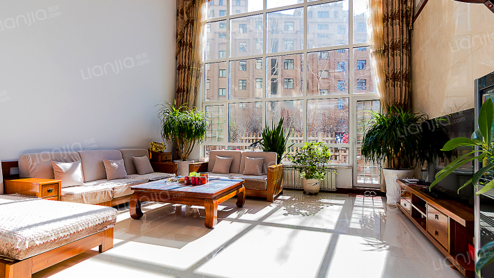 亚兴国际公寓1+2复式带花园仅 此一套大落地窗挑高6米-客厅B