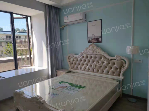 整租·天悦年华 1室1厅 南