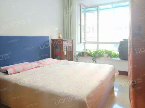 整租·万商阳光公寓 3室1厅 南/北