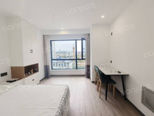 整租·瑞银中心 1室1厅 北