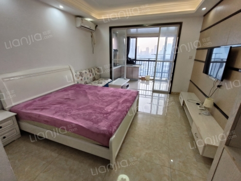 整租·东晟文化公馆 1室1厅 南