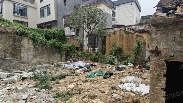 大良单家苏岗居委会二手房实景图