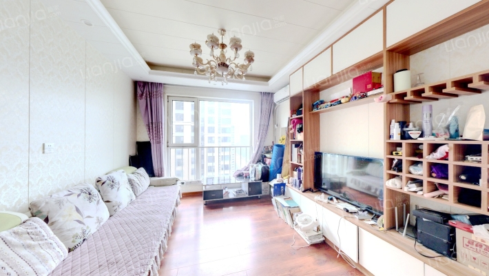 出售狮子城一居室.满五唯一.装修全屋定制房-客厅