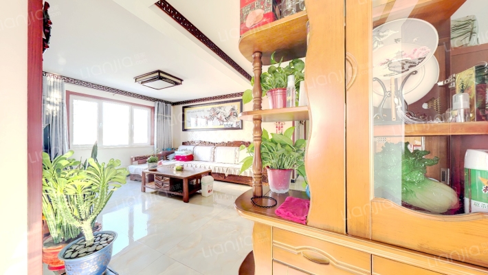 南北通透格局 楼层好 视野宽阔 适合居住-客厅