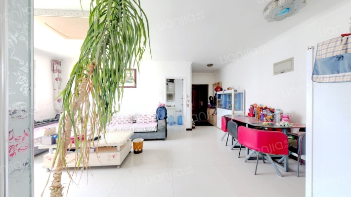 华阳路 精装南北通透三居 高楼层采光好-客厅