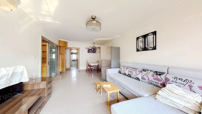 建厂局设计院 中间好楼层 采光好 税费低-客厅