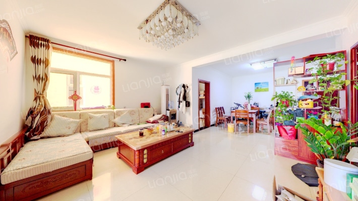 精装 拎包入住 花园社区 交通便利-客厅