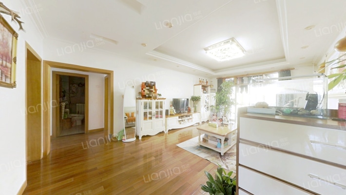 此房满五年唯一 南北通透无遮挡 838沿线-客厅