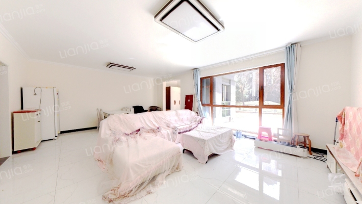 高铁新干线洋房一楼带院 边户洋房院子面积大-客厅