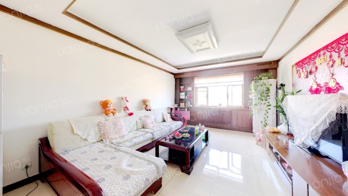 政法街南段位置好，公摊小，房子干净，换了大房出售-客厅